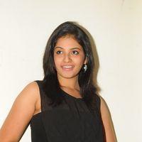 Anjali at Journey Audio Launch Pictures | Picture 127217